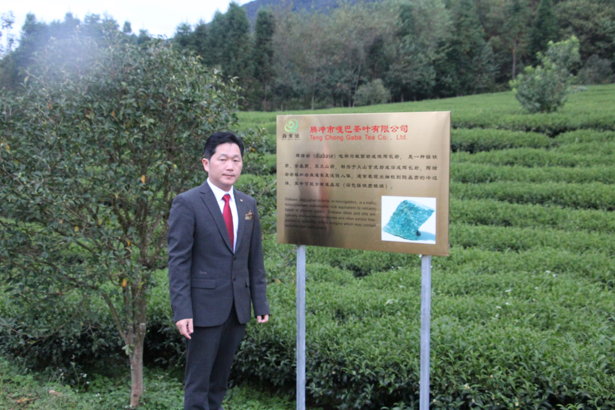 Nie Qun at the company plantation